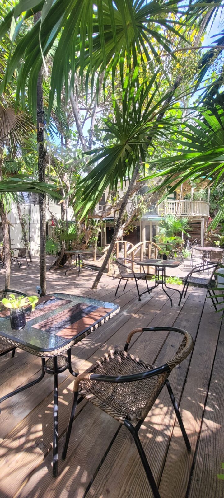 Suggestion Gourmet tropical terrace by day
